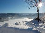 WISA - zimowy krajobraz